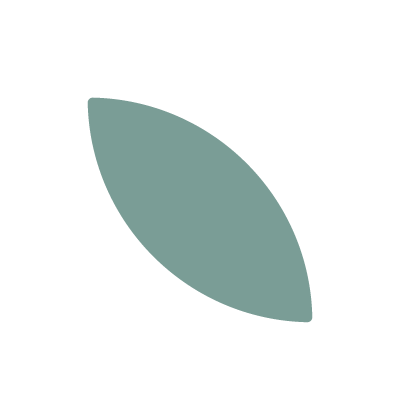 green colored leaf from the logo