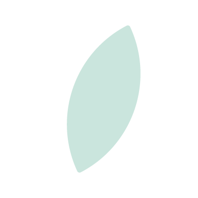 pale green colored leaf from the logo