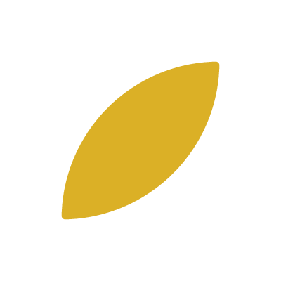 mustard colored leaf from the logo